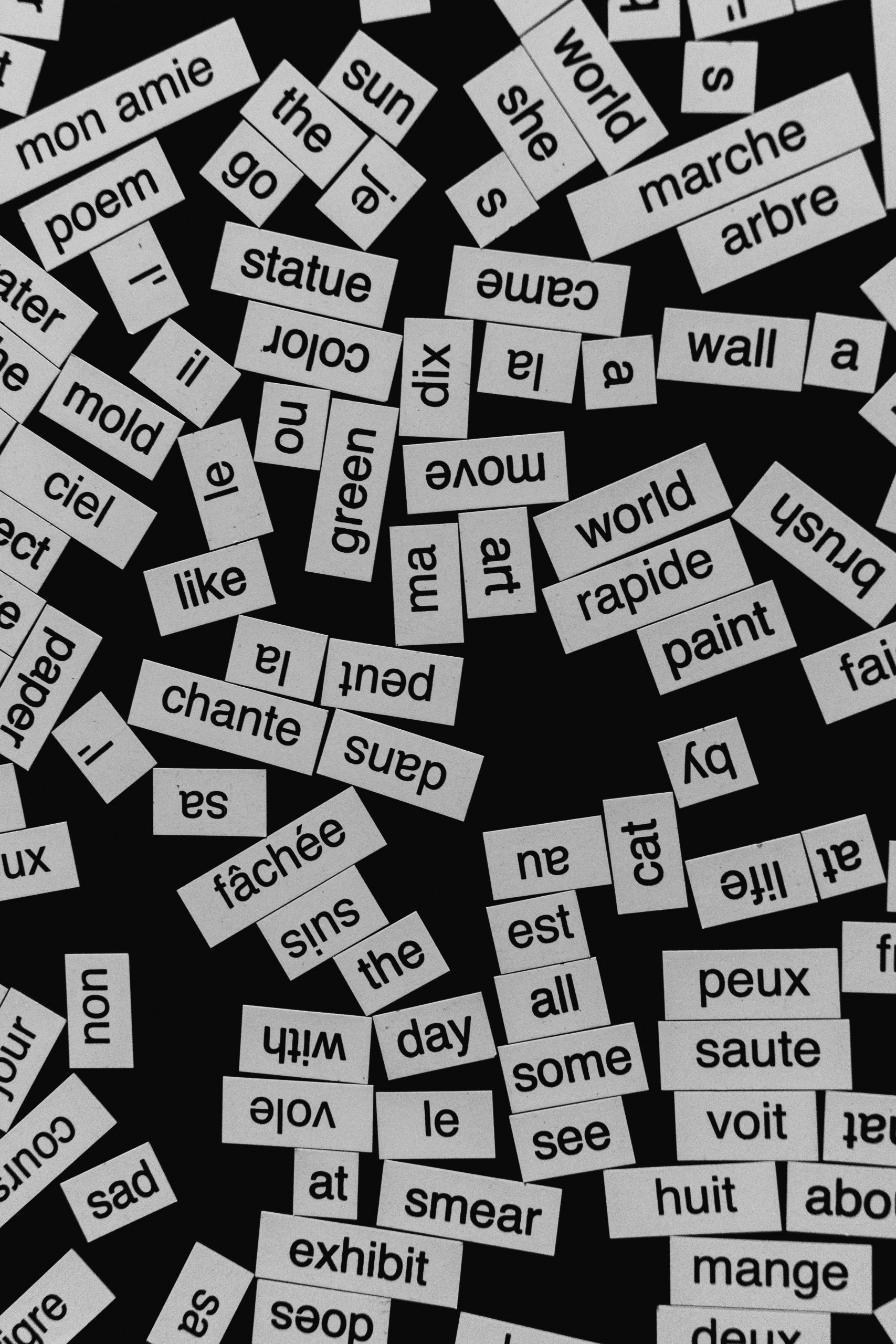English vs French: How AI Responds Differently